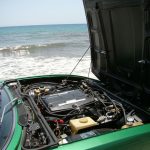 alfa montreal for sale